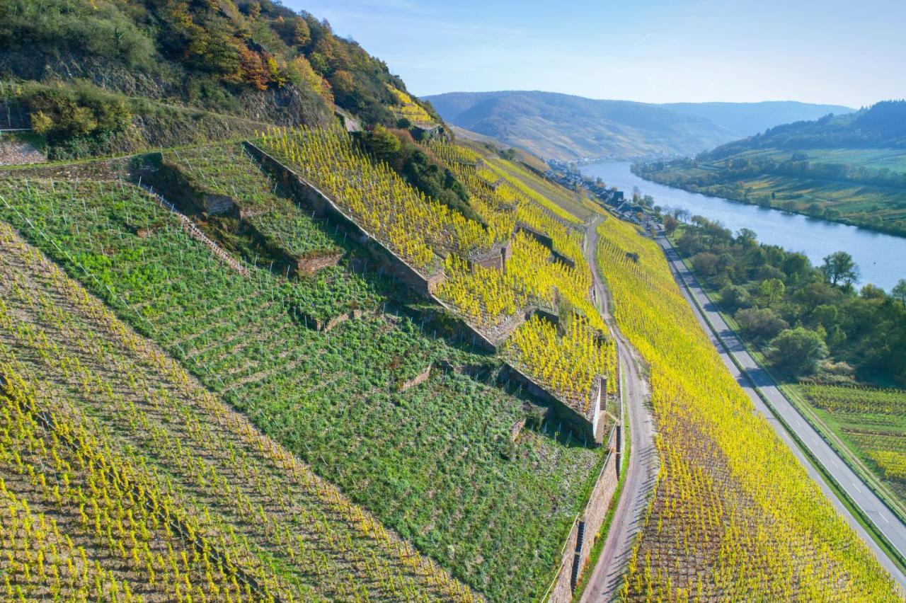 Das Haus In Spay An Der Mosel Mit Sauna Zell Exterior foto